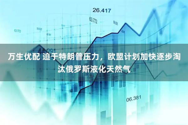 万生优配 迫于特朗普压力，欧盟计划加快逐步淘汰俄罗斯液化天然气