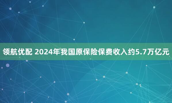 领航优配 2024年我国原保险保费收入约5.7万亿元
