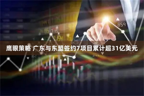 鹰眼策略 广东与东盟签约7项目累计超31亿美元