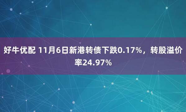 好牛优配 11月6日新港转债下跌0.17%,转股溢价率24.97%