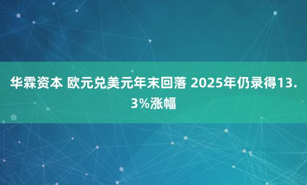 华霖资本 欧元兑美元年末回落 2025年仍录得13.3%涨幅